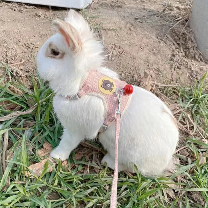 Cartoon Print Cat Rabbit Harness and Leash Set Bunny Rabbits Pet Accessories Bunnies Vest Clothes Lapin Accessoires Pour Animaux