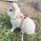 Cartoon Print Cat Rabbit Harness and Leash Set Bunny Rabbits Pet Accessories Bunnies Vest Clothes Lapin Accessoires Pour Animaux