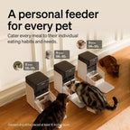 RFID Automatic Cat Feeder with Collar Sensor for Multi-Pet Homes, Wi-Fi Programmable Cat Food Dispenser with Diet Tracking