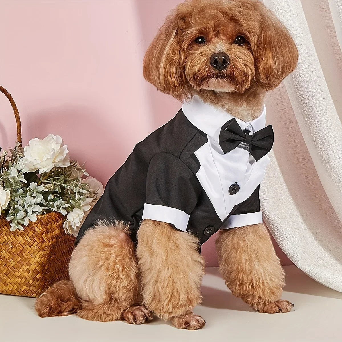 Black Tie Suit