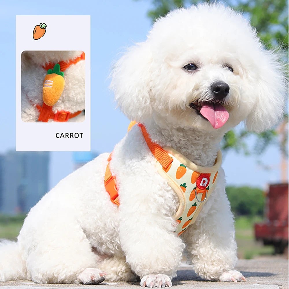 Cute Fruit Dog Cat Harness & Leash Set  Adjustable Soft Puppy Kitten Walking Gear Breathable Summer Outdoor Accessories for Smal
