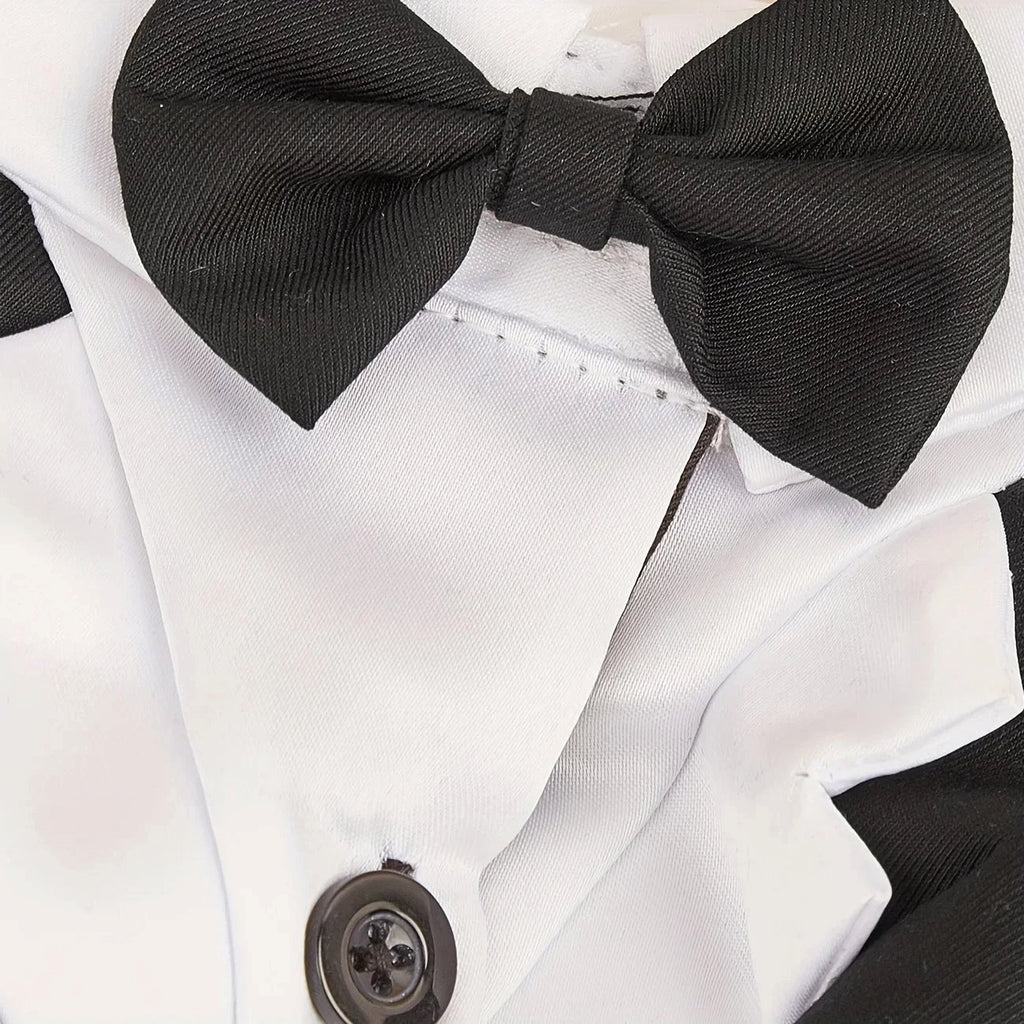 Black Tie Suit