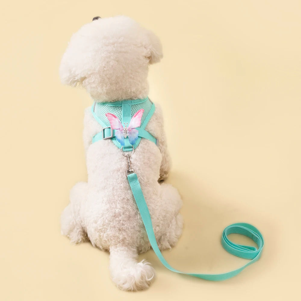 New Breathable Cute Cat Harness Set Butterfly Small Dog Harness Set Walk Outdoors Puppy Chest Vest Leash Accessories