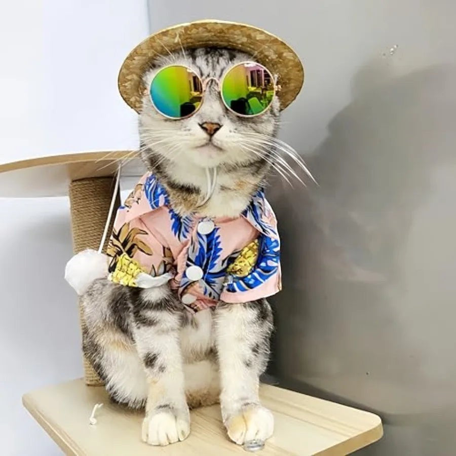 Aloha Shirt