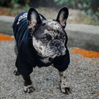 Hearthside Hoodie