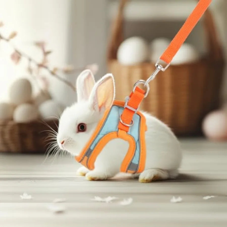Adjustable Rabbit Harness and Leash Set Double Buckle with Reflective Strips Soft Bunny Breathable Vest Harness for Kitten Ferr