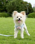 Pet Vest Traction Rope Dog Cartoon Three-Dimensional Accessories Teddy Walking Dog Rope Cat Going Out Chest and Back Protection