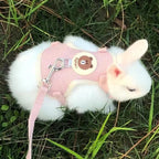 Cartoon Print Cat Rabbit Harness and Leash Set Bunny Rabbits Pet Accessories Bunnies Vest Clothes Lapin Accessoires Pour Animaux