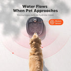 6L Cordless Dog Water Fountain, 5000mAh Battery Operated, Motion Sensor, Ultra Quiet Pump for Dogs & Cats
