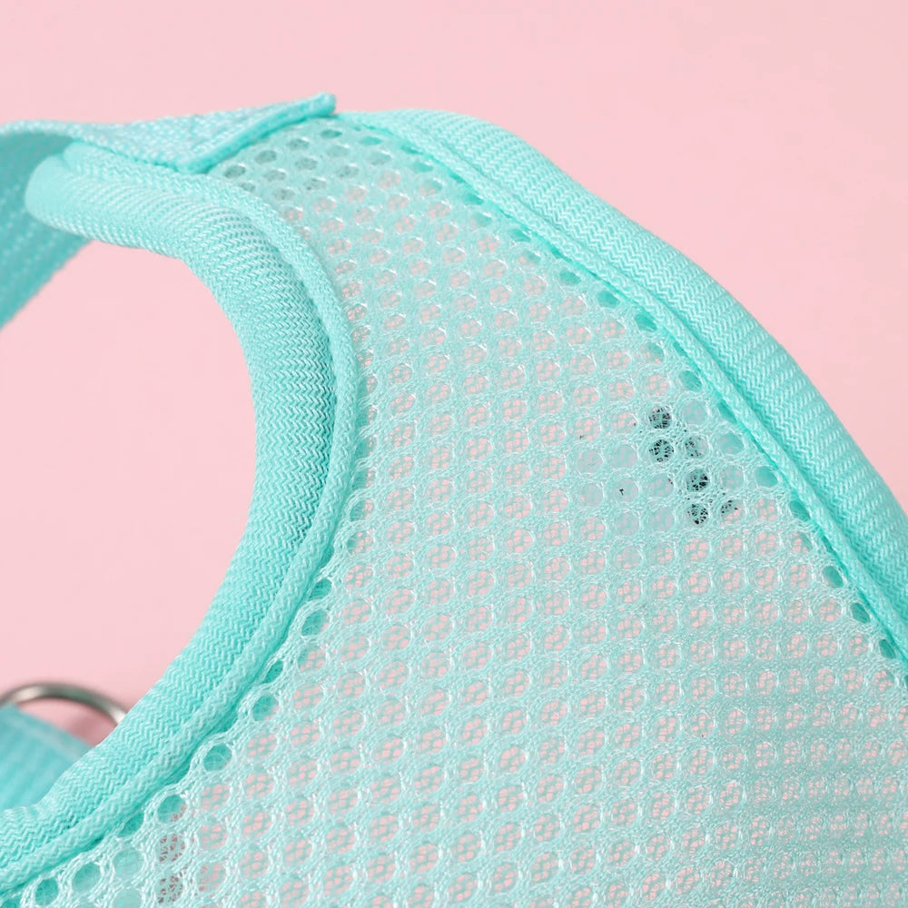 New Breathable Cute Cat Harness Set Butterfly Small Dog Harness Set Walk Outdoors Puppy Chest Vest Leash Accessories
