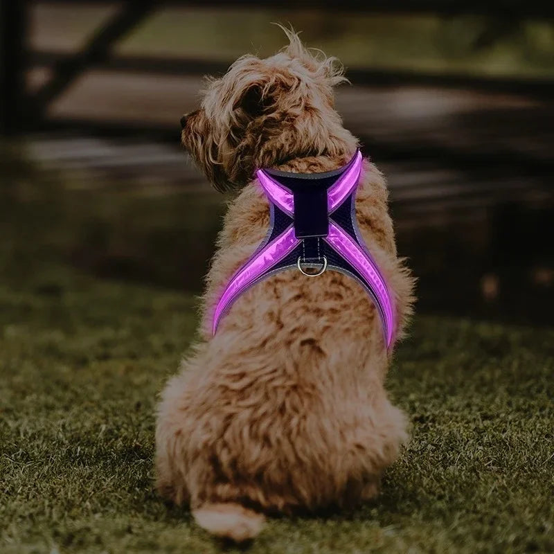 8 Color LED Pet Dog Luminous Harness Rechargeable Flashing Light Up Night Safety Dog Vest Harness New Style
