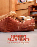Orthopedic Crate Dog Bed with Washable Cover
