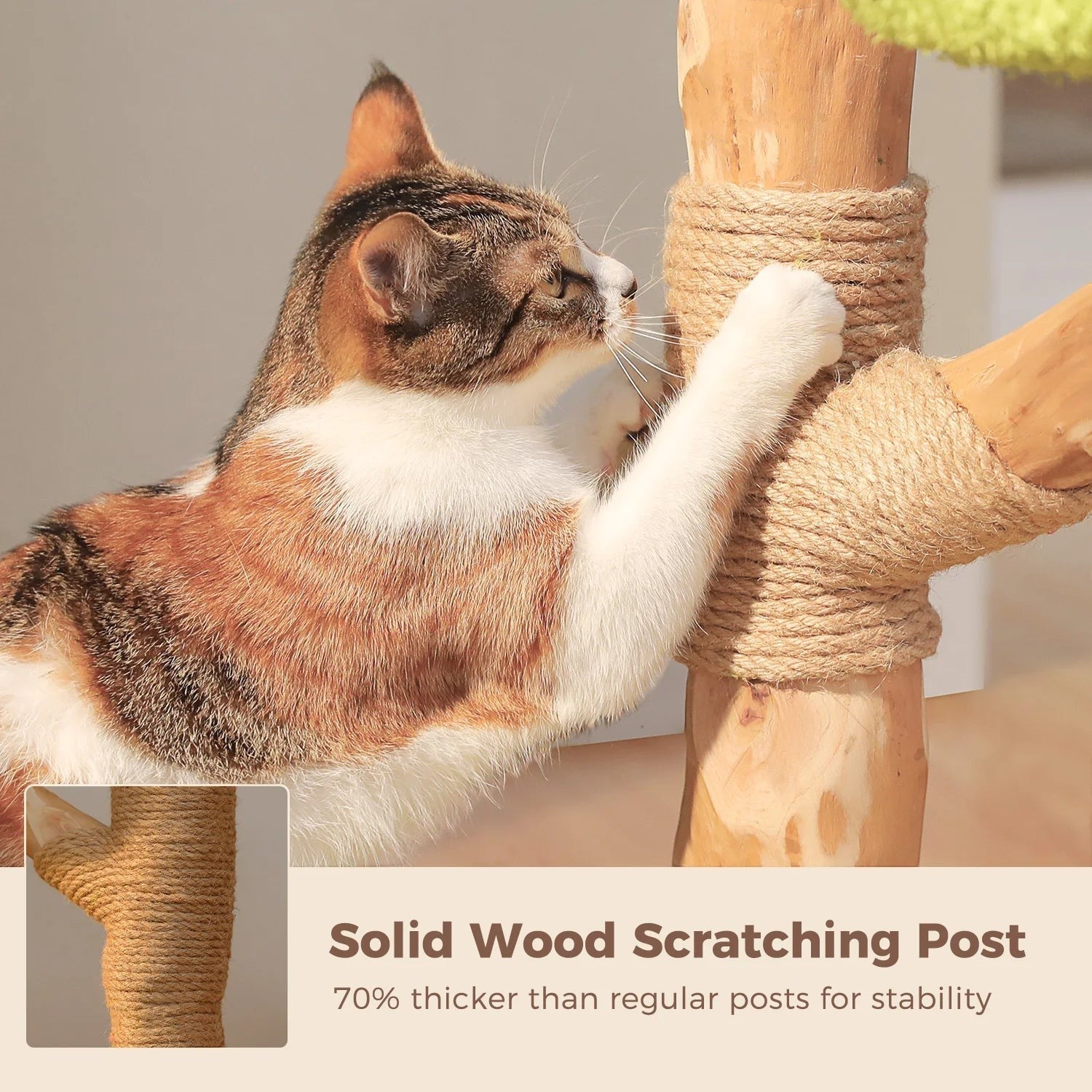 Blossom Cat Tower
