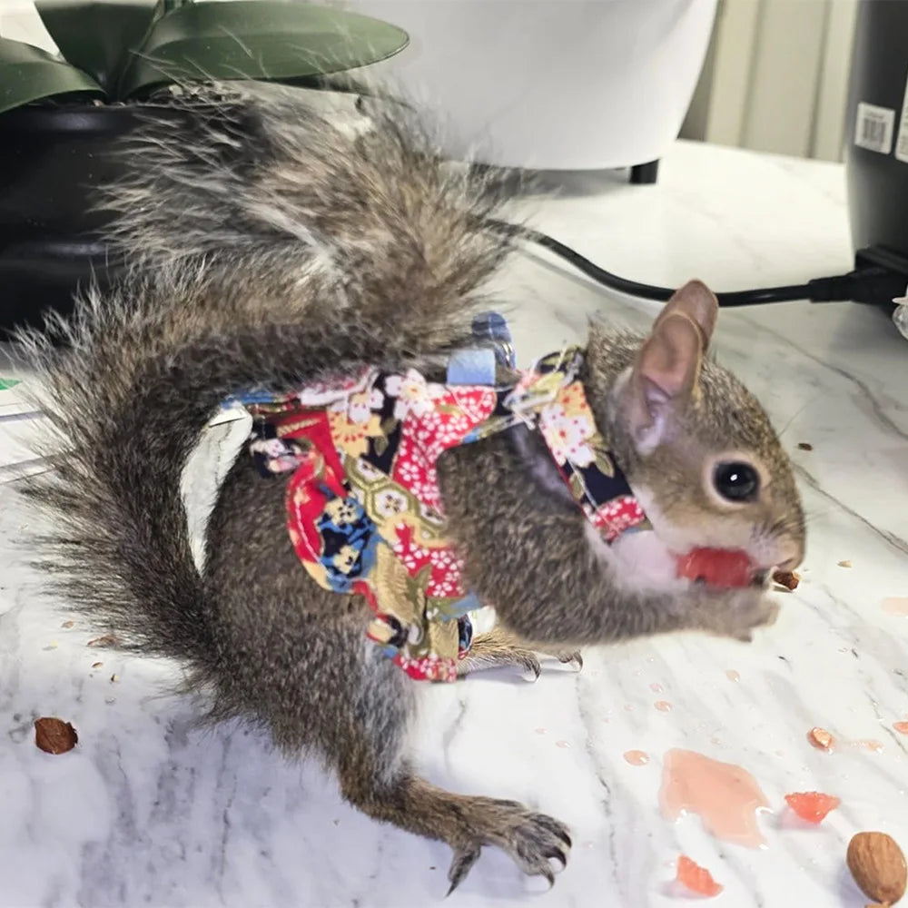 Pet Ferret Harness Dress with Split Tank Top Squirrel Leash and Anti-bite Chest and Back Strap Flower Branch Black-tailed Marmot
