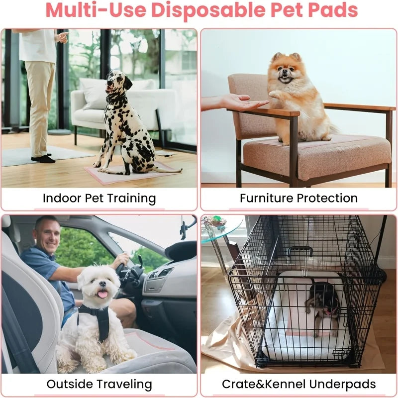 Four Sizes Leak Proof Quick Dry Six Layer Absorbent Dog Pee Pads Puppy Training Mats For Dogs Cats Rabbits Indoor Bathroom Us