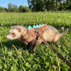 Adjustable Ferret Vest Harness Dinosaur Shape Escape-Proof Pet Traction Rope Comfortable with Bell Guinea Pig Safety Vest