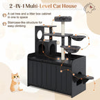 Charcoal Cat Retreat