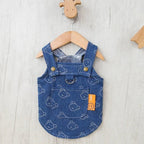 Sunday Stroll Harness Dress