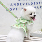 Mincy Pets Lace Harness with Leash for Small Dogs & Cats product photo.