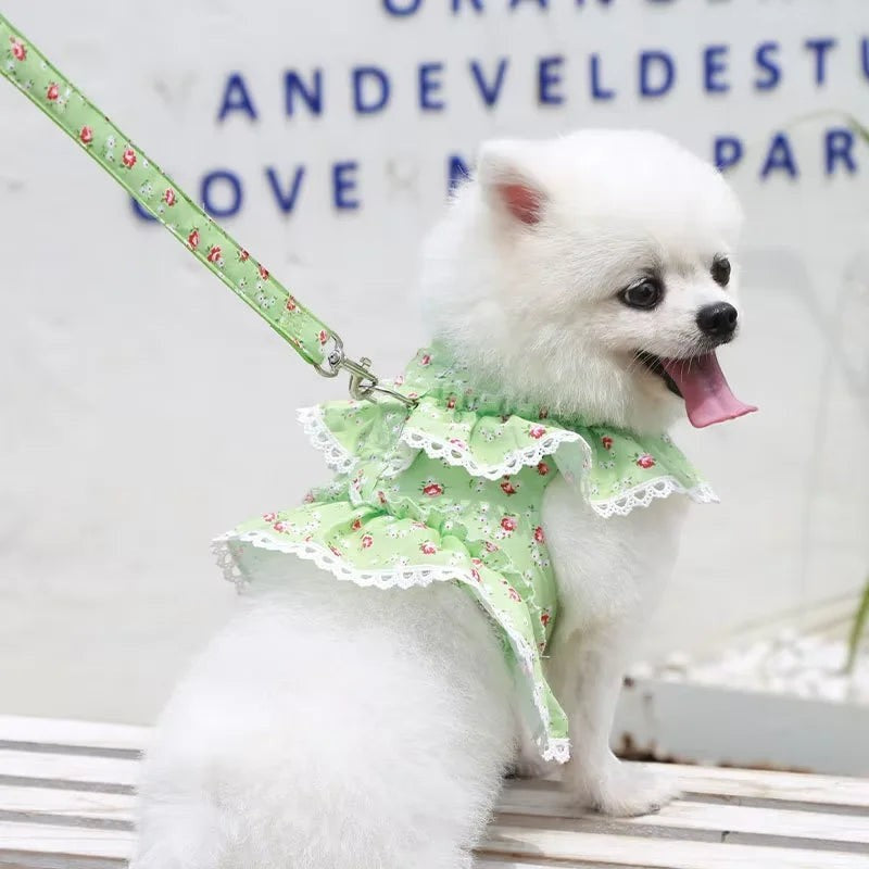 Mincy Pets Lace Harness with Leash for Small Dogs & Cats product photo.