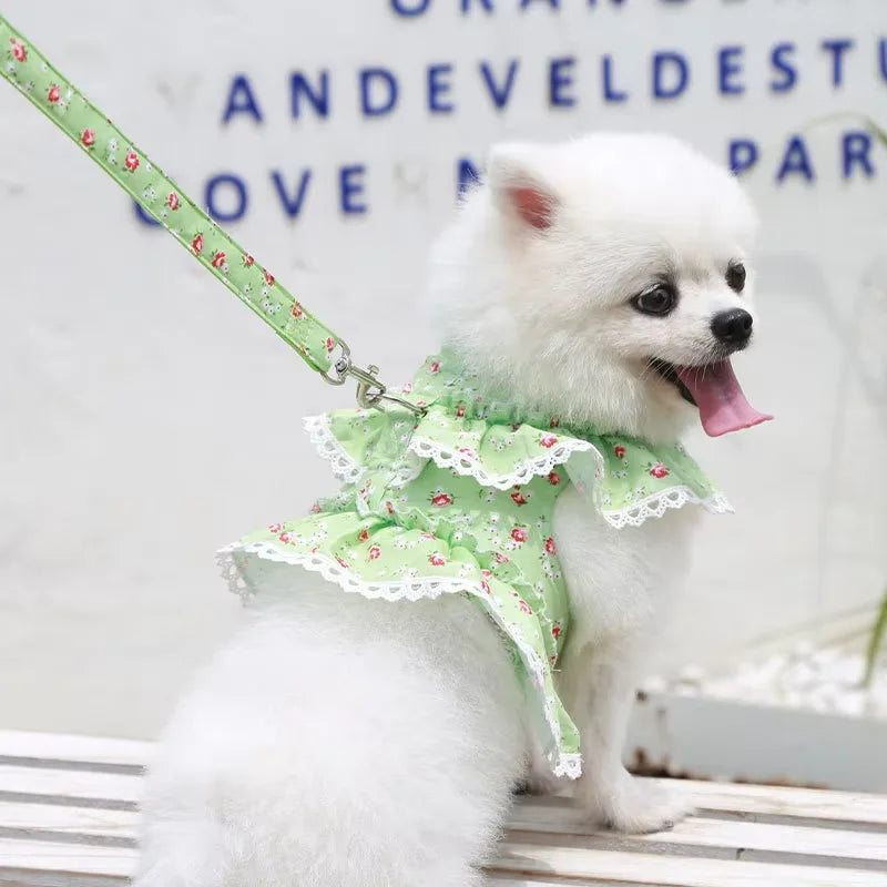Small Dog Clothes Pet Cat Harness With Leash Lace Teddy Bichon Spring Summer Autumn Dog Leash Cat Supplies