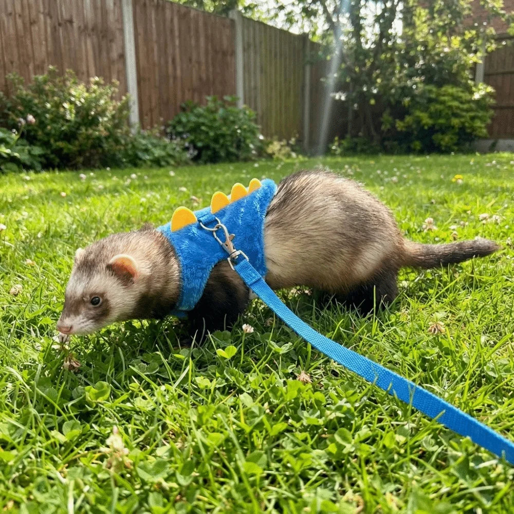 Adjustable Ferret Vest Harness Dinosaur Shape Escape-Proof Pet Traction Rope Comfortable with Bell Guinea Pig Safety Vest