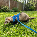 Adjustable Ferret Vest Harness Dinosaur Shape Escape-Proof Pet Traction Rope Comfortable with Bell Guinea Pig Safety Vest