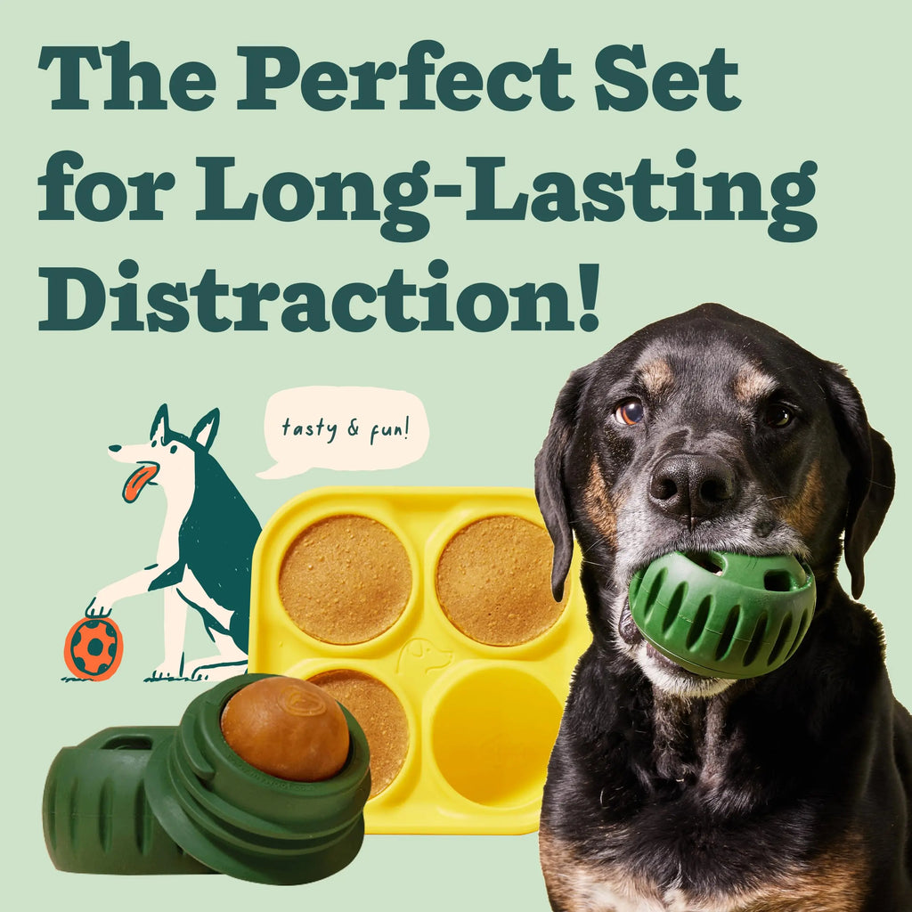 Interactive Treat Dispensing Dog Chew Toy Lasting Interactive Pup Distracted Aggressive Chewer Large Pups Treat Molds Silicone