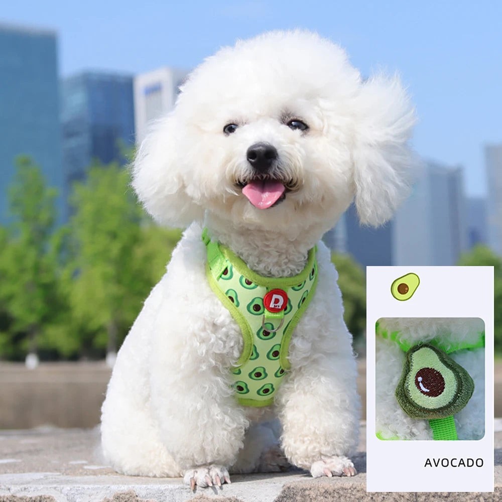 Cute Fruit Dog Cat Harness & Leash Set  Adjustable Soft Puppy Kitten Walking Gear Breathable Summer Outdoor Accessories for Smal