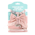 Cute Bowknot Cat Harness and Leash Adjustable Pet Harness with Traction Rope for Cat Kitten Puppy Rabbit Ferret
