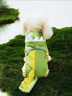 Dino Raincoat