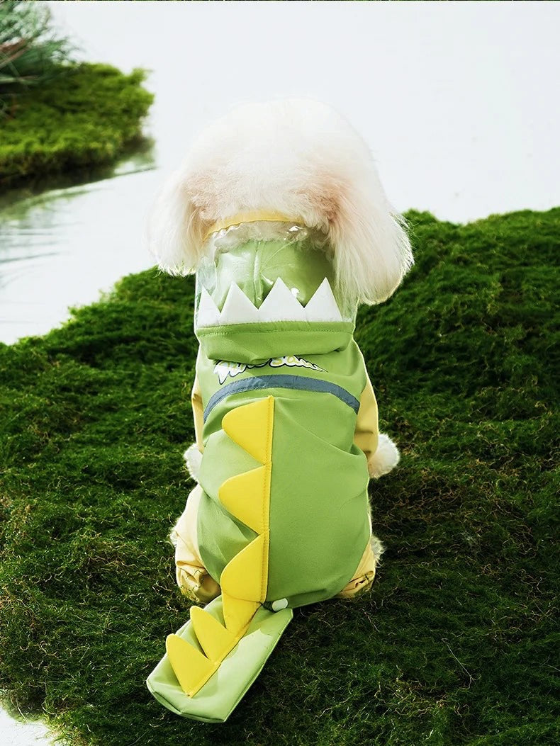 Dino Raincoat