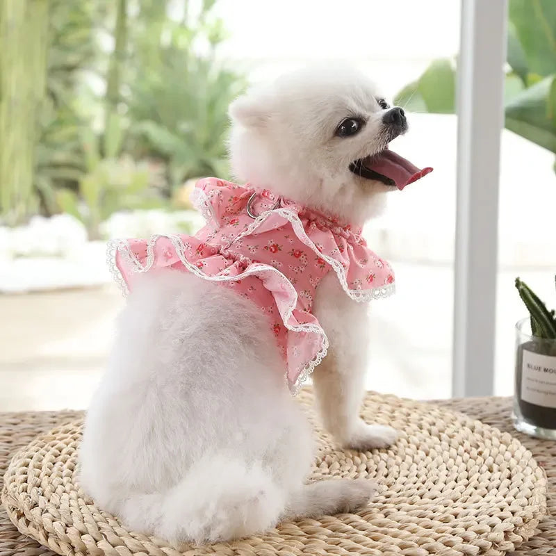 Small Dog Clothes Pet Cat Harness With Leash Lace Teddy Bichon Spring Summer Autumn Dog Leash Cat Supplies