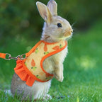 Rabbit Harness with Leash Cute Adjustable Buckle Breathable Mesh Vest Skirt for Bunny Guinea Pig Small Pet Traction Harness Suit
