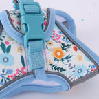 Small Dog Harness Leash Set Cute Traction Bracelet Medium Cat Collar Suit Soft Puppy Vest Harness Adjustable Pet Accessories