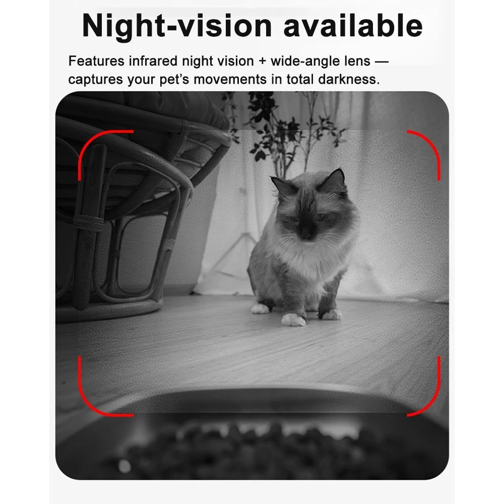HD Camera Feeder