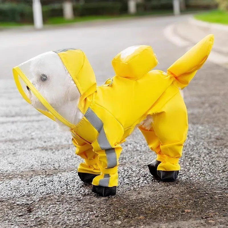 Dino Raincoat