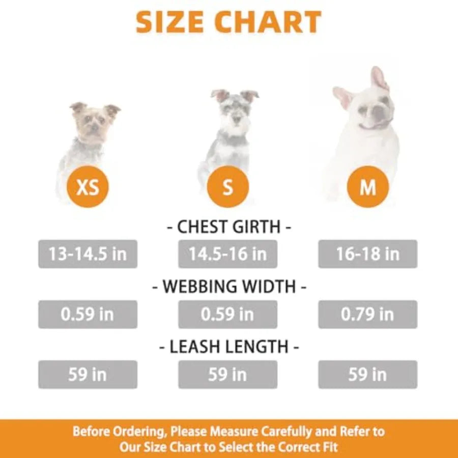 Small Dog Harness and Leash Set, Cute Puppy Harness, Step in No Pull Soft Mesh Pet Vest Harness Collar for Small Size Dogs Cats