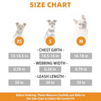 Small Dog Harness and Leash Set, Cute Puppy Harness, Step in No Pull Soft Mesh Pet Vest Harness Collar for Small Size Dogs Cats