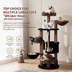 Grand Manor Cat Tower