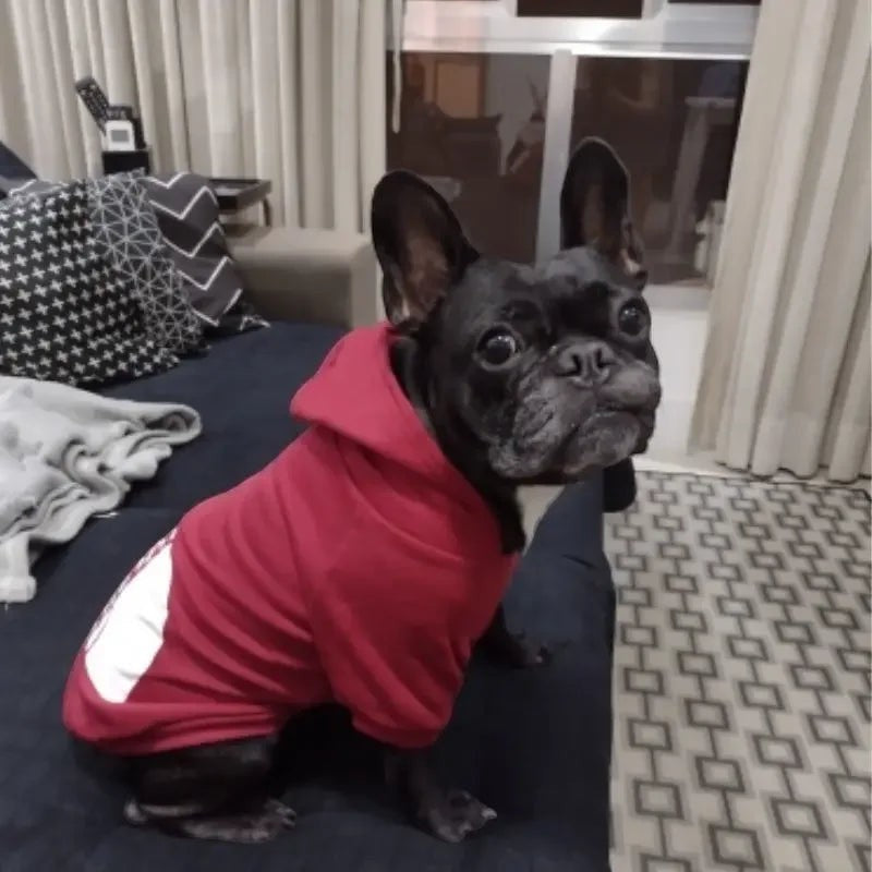 Hearthside Hoodie