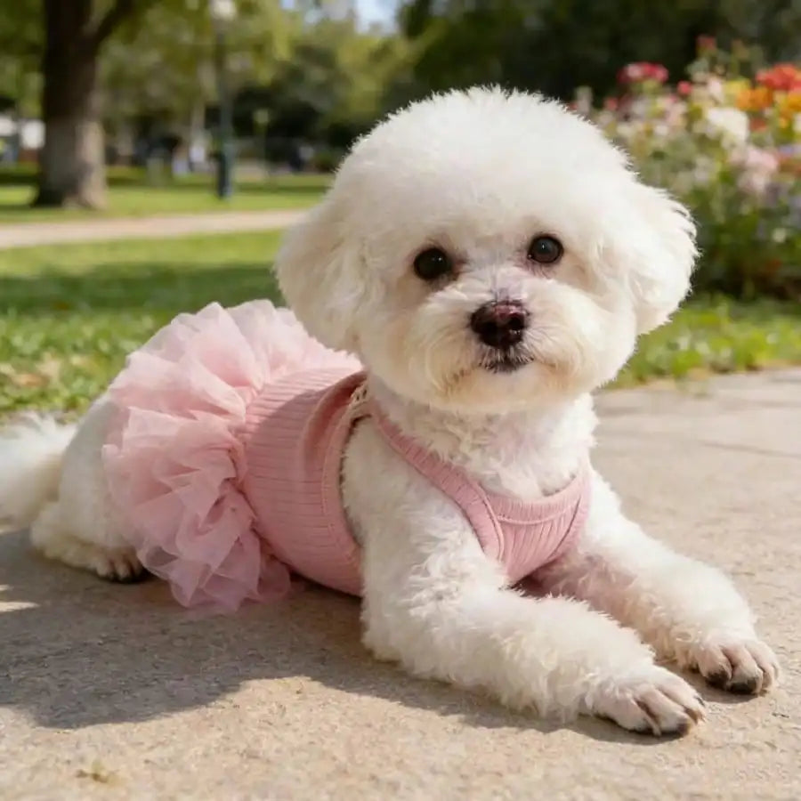 Ballet Tulle Dress