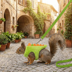 Adjustable Ferret Vest Harness Dinosaur Shape Escape-Proof Pet Traction Rope Comfortable with Bell Guinea Pig Safety Vest