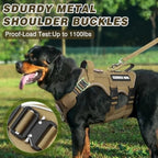 Service Dog Vest and Leash SetHeavy Duty Tactical Dog Harness with Metal Buckles for Sized Dogs Adjustable No-Pull Dog Harness