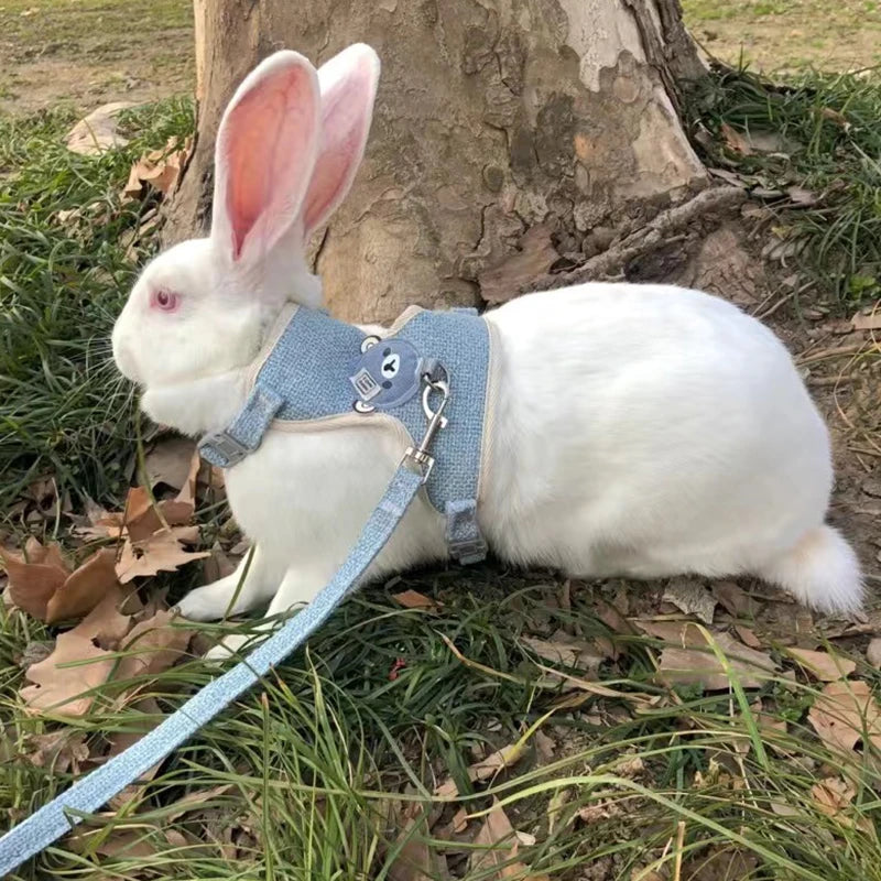 Cartoon Print Cat Rabbit Harness and Leash Set Bunny Rabbits Pet Accessories Bunnies Vest Clothes Lapin Accessoires Pour Animaux