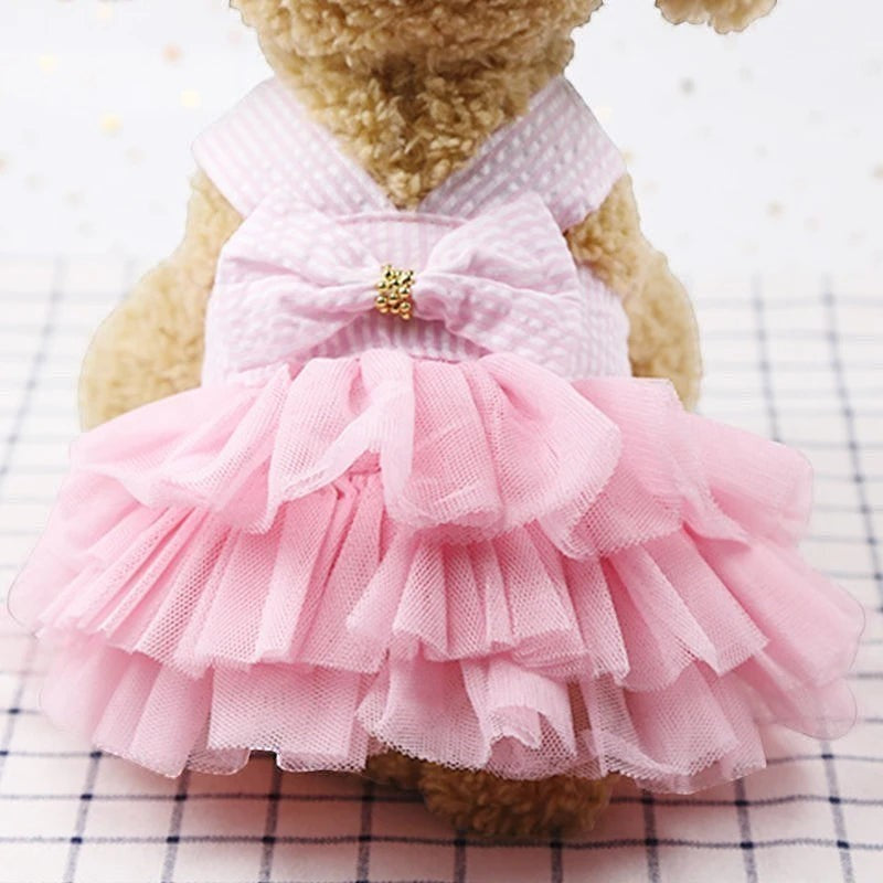 Lace Stripe Sundress
