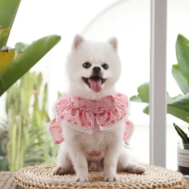 Small Dog Clothes Pet Cat Harness With Leash Lace Teddy Bichon Spring Summer Autumn Dog Leash Cat Supplies