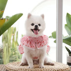 Small Dog Clothes Pet Cat Harness With Leash Lace Teddy Bichon Spring Summer Autumn Dog Leash Cat Supplies