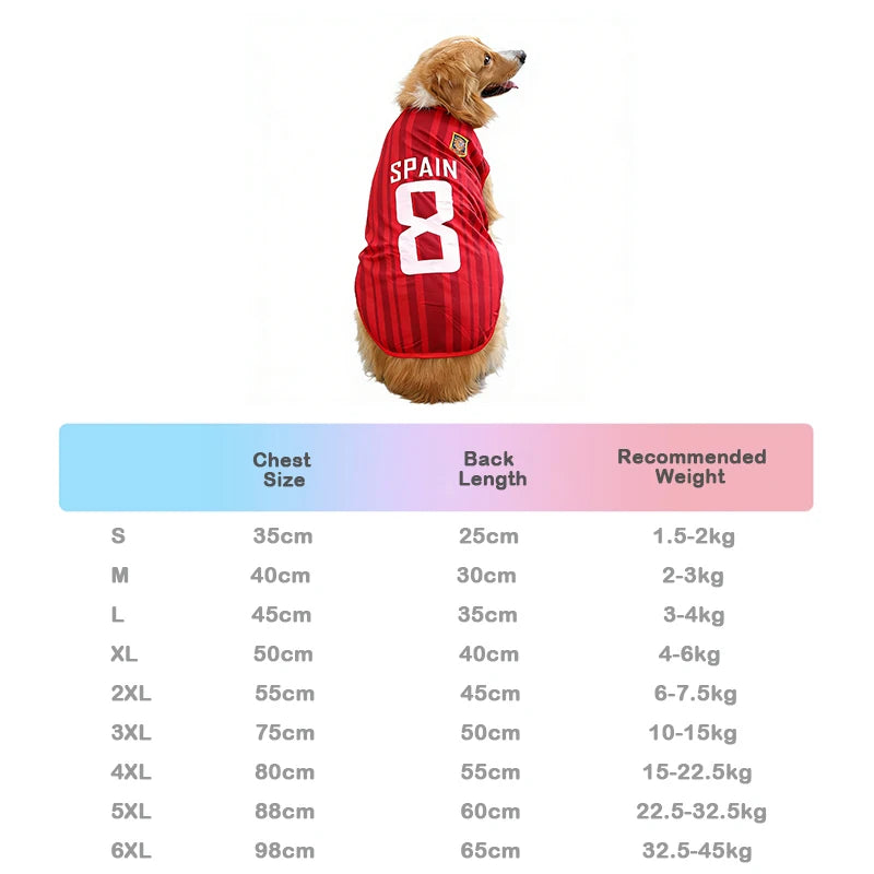 Sport Mesh Jersey