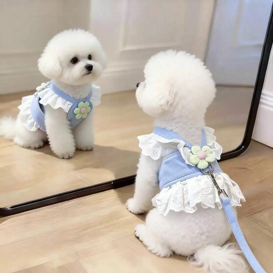 Floral Lace Pet Harness Dress with Matching Leash, Ruffle Princess Style, Breathable Fabric. Cute decorative outfit for small dogs and cats, comfortable walking harness for outdoor strolls, photo shooting and daily wearing